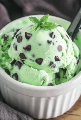 Ninja Creami Mint Chocolate Chip Ice Cream