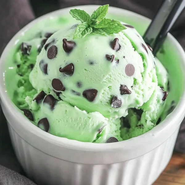 Ninja Creami Mint Chocolate Chip Ice Cream