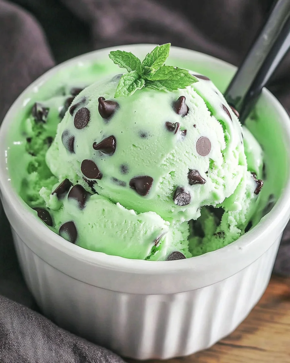 Ninja Creami Mint Chocolate Chip Ice Cream